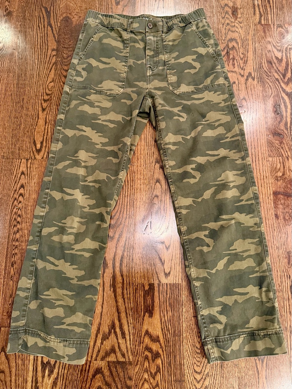 American Eagle Outfitters Men's Camo Cargo Pants - Olive